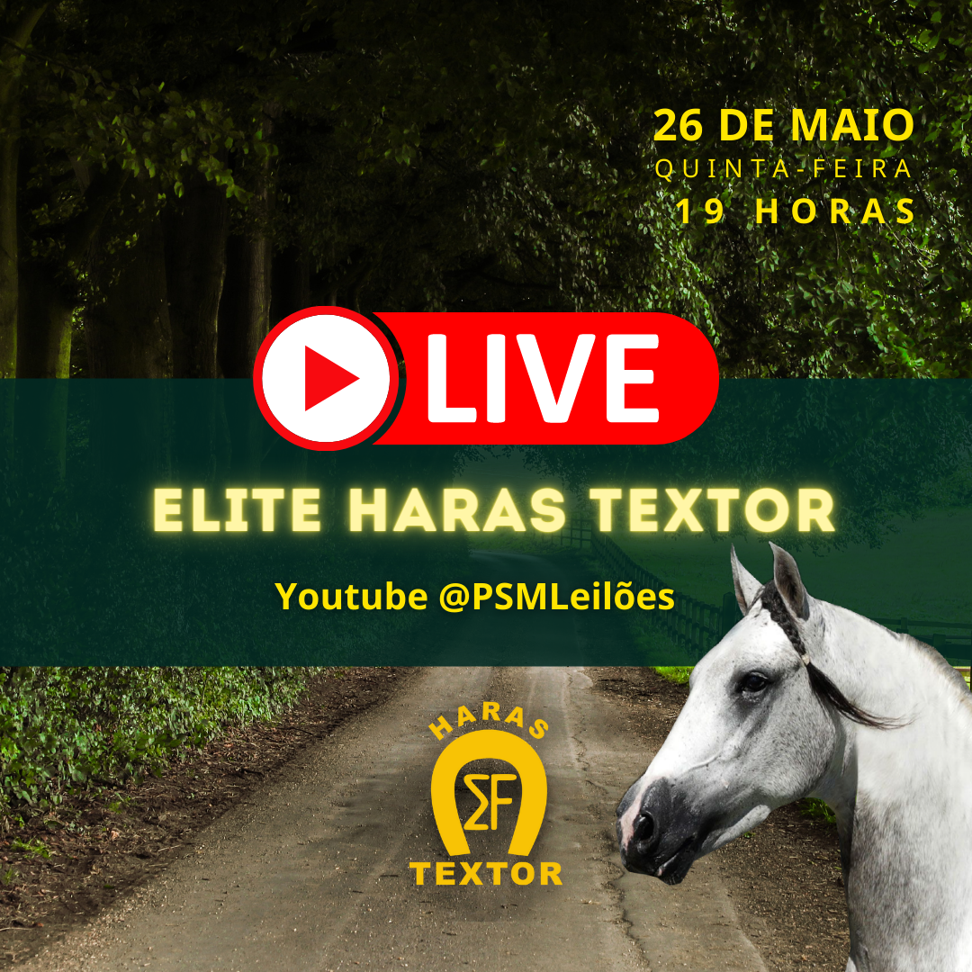 LEILÃO E LIVE ELITE HARAS TEXTOR