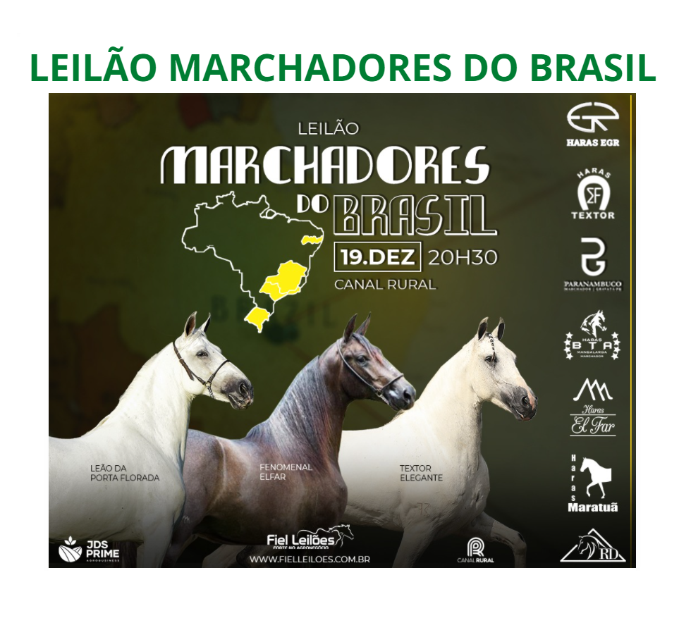 LEILÃO MARCHADORES DO BRASIL